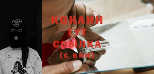тгк Алексин