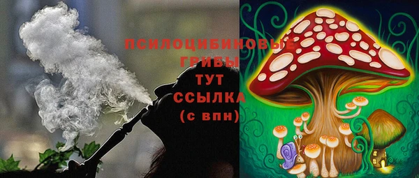 тгк Алексин