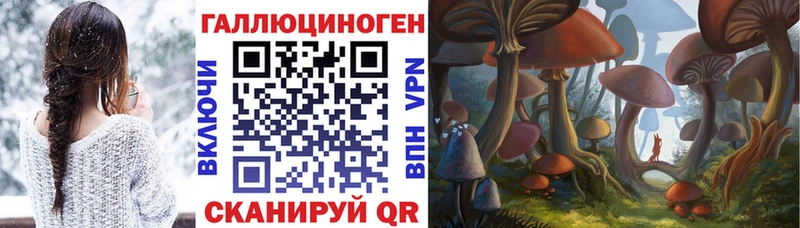продажа наркотиков  Ветлуга  Псилоцибиновые грибы Psilocybe 